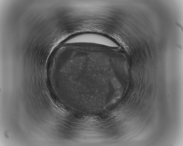 X0000096130488200802081329
