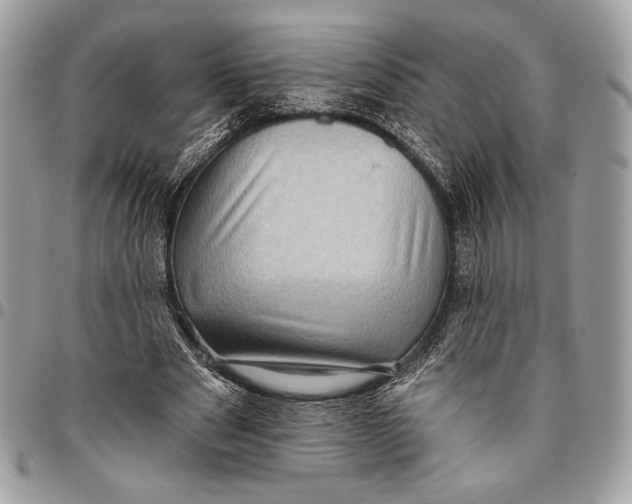 X0000096130489200802081329