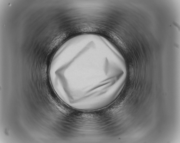 X0000096130490200802081329