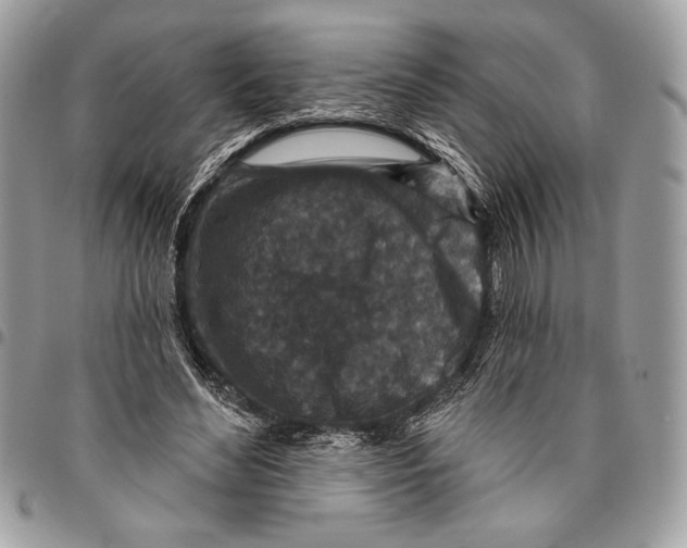 X0000096130492200802081329