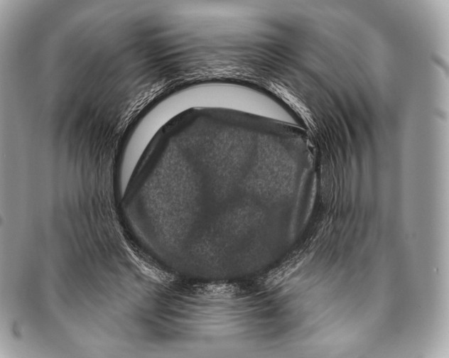 X0000096130493200802081329