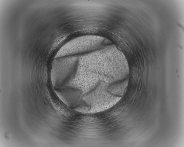 X0000096130494200802081329
