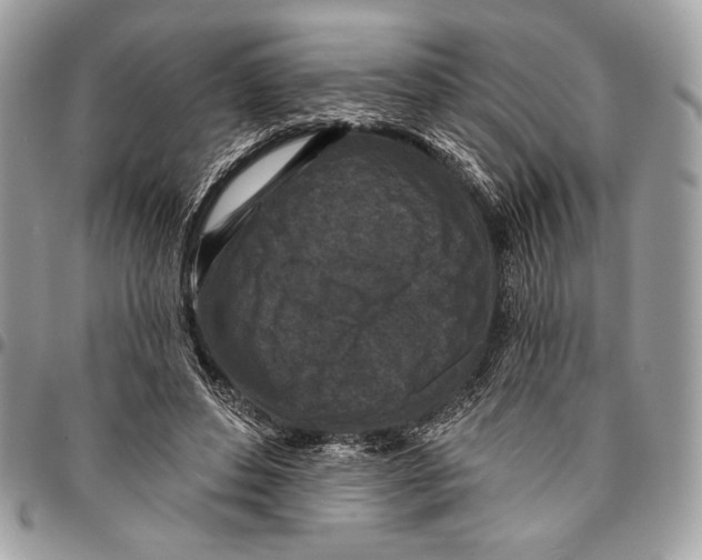 X0000096130496200802081329