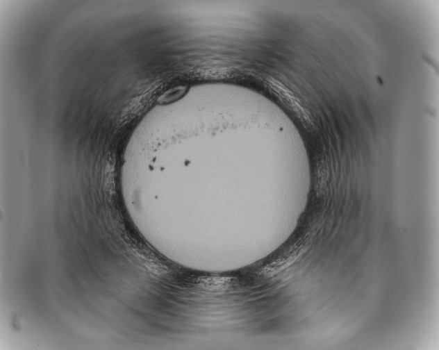 X0000096130497200802081329