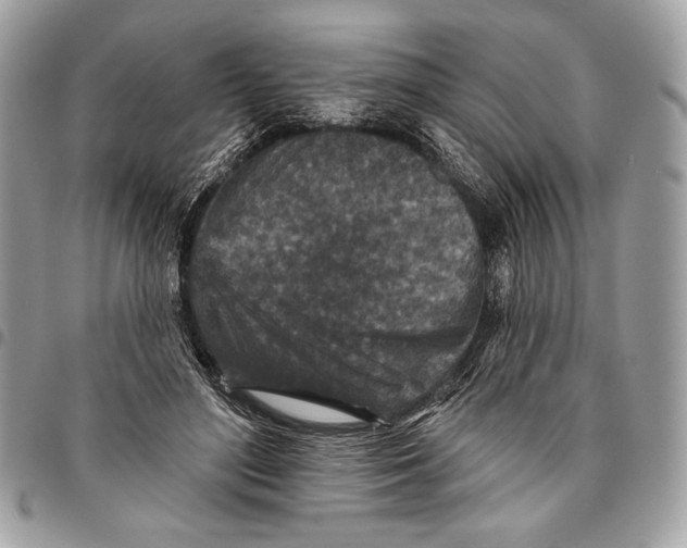 X0000096130500200802081329