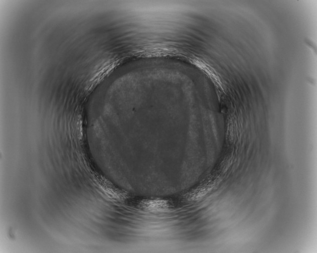 X0000096130501200802081329