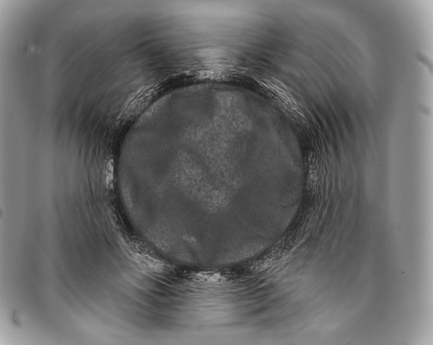 X0000096130502200802081329