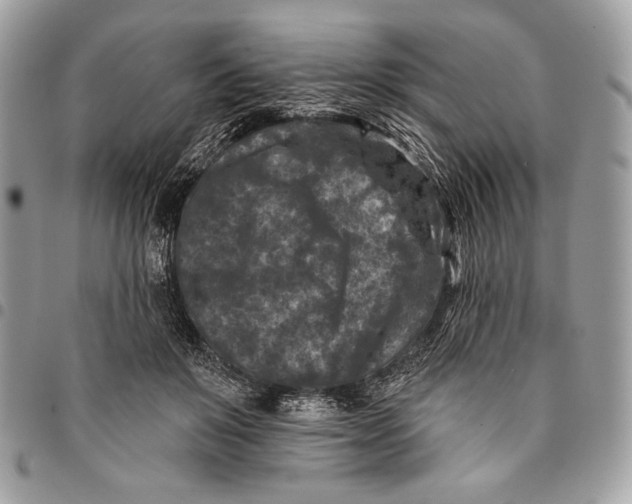 X0000096130503200802081329