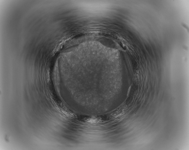 X0000096130504200802081329