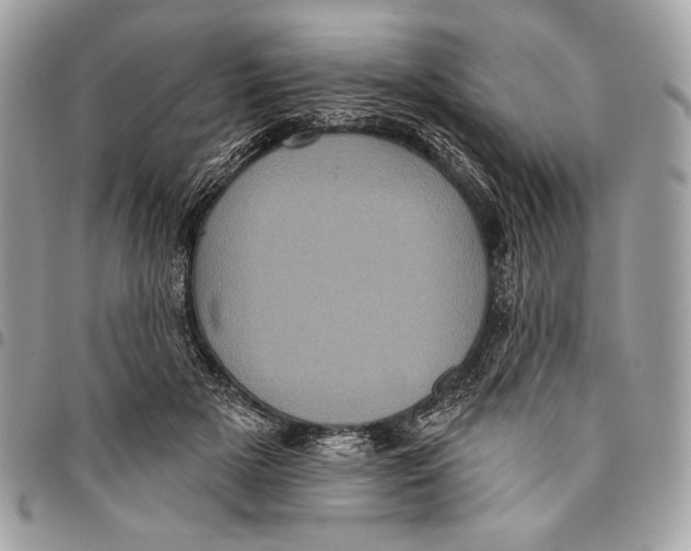X0000096130505200802081329