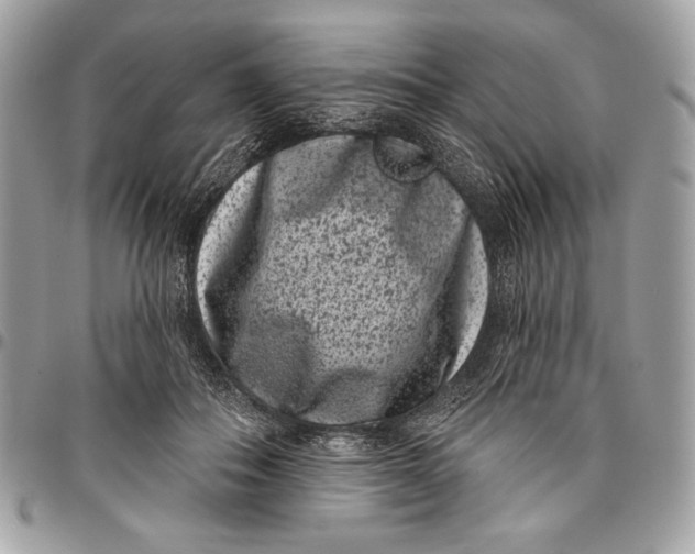 X0000096130506200802081329