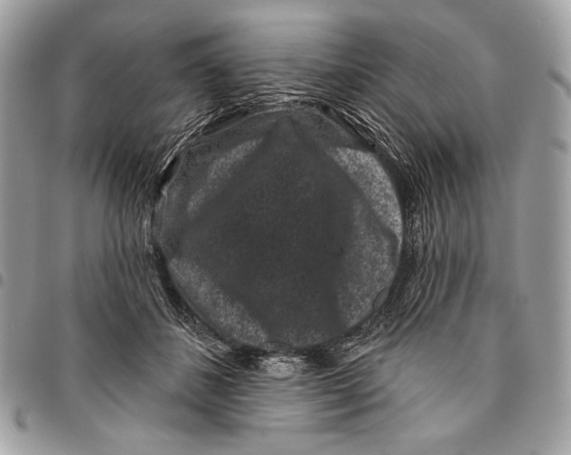 X0000096130508200802081329