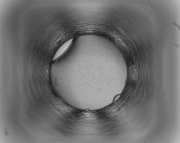 X0000096130509200802081329