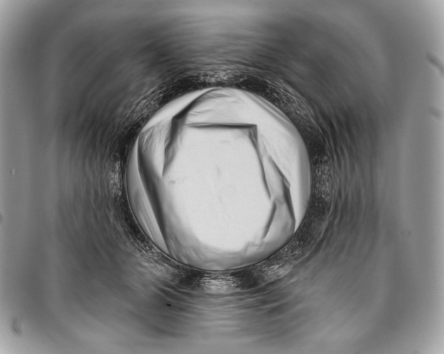 X0000096130510200802081329