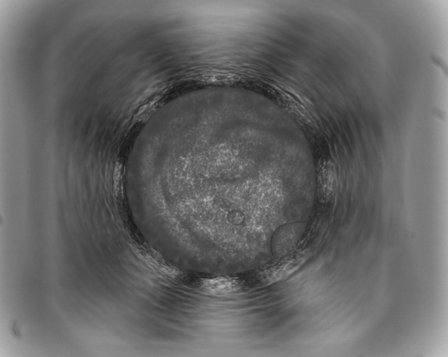 X0000096130511200802081329