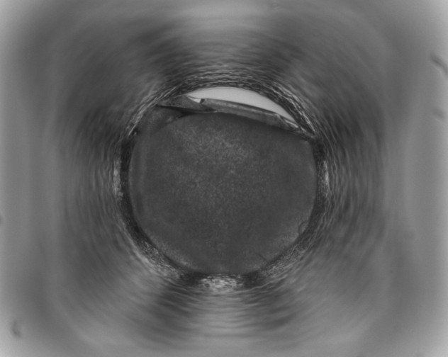X0000096130512200802081329