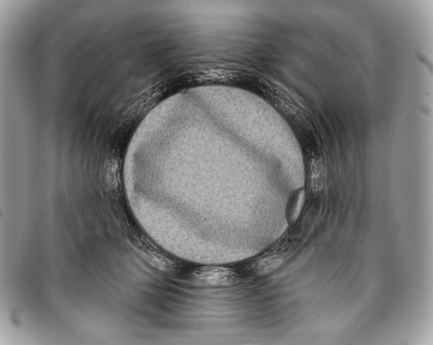 X0000096130514200802081328