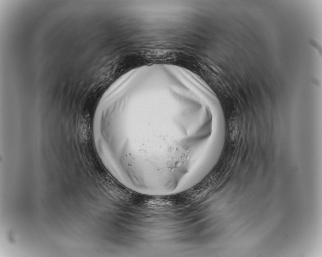 X0000096130515200802081328