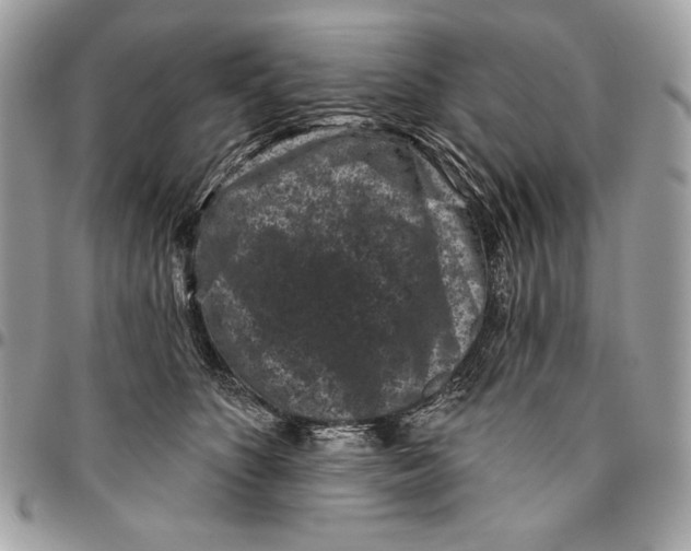 X0000096130516200802081328