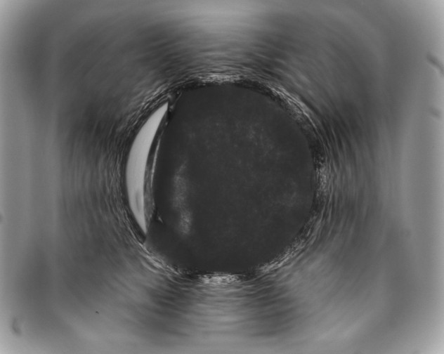 X0000096130517200802081328