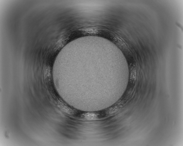 X0000096130518200802081328