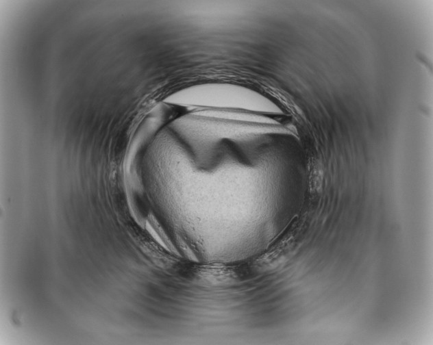 X0000096130521200802081328