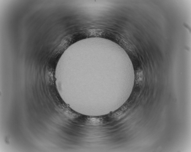 X0000096130522200802081328