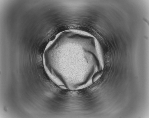 X0000096130523200802081328
