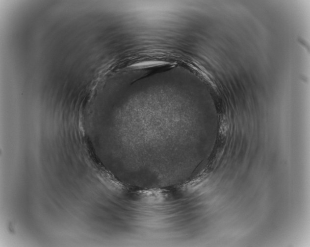 X0000096130524200802081328