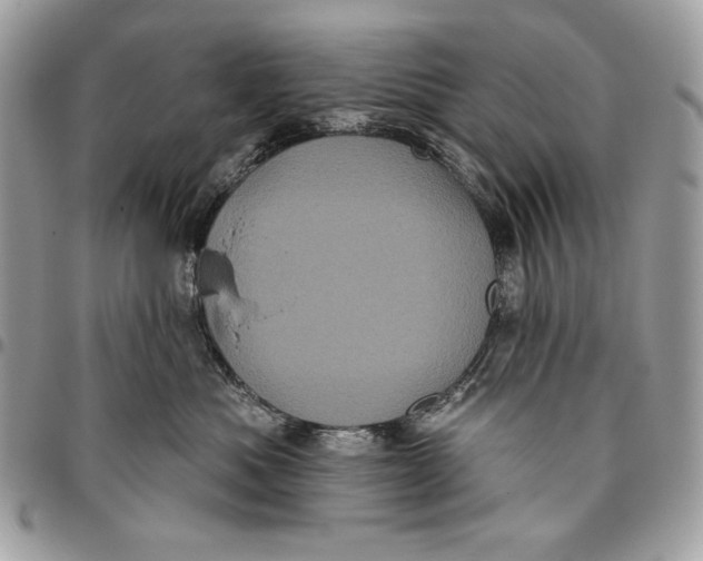 X0000096130525200802081328