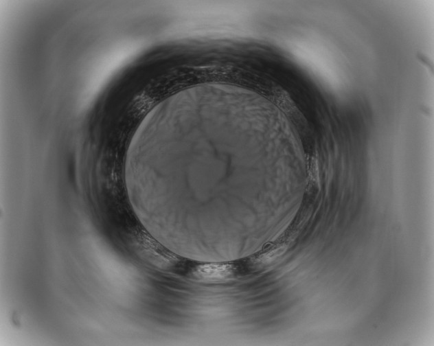 X0000096130526200802081328