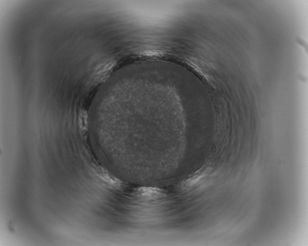 X0000096130528200802081328