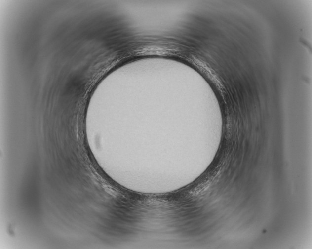 X0000096130529200802081328