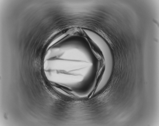 X0000096130530200802081328