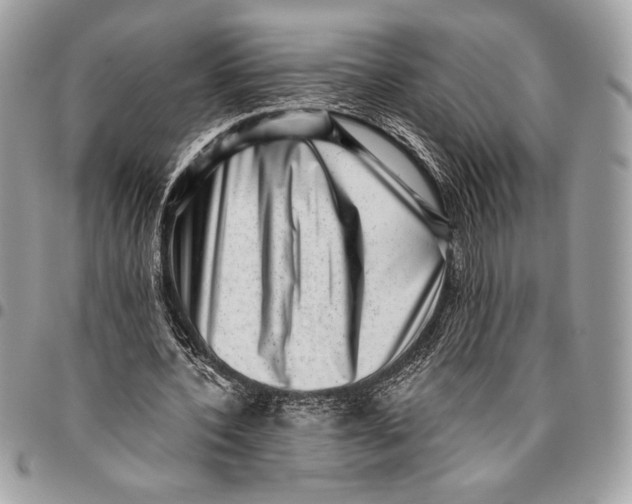 X0000096130532200802081328