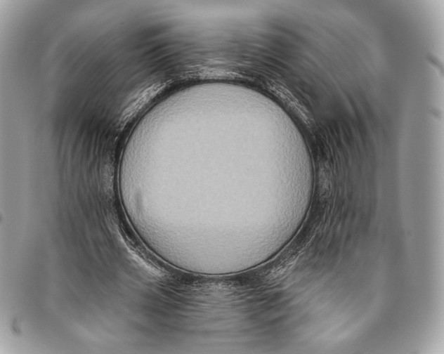 X0000096130533200802081328