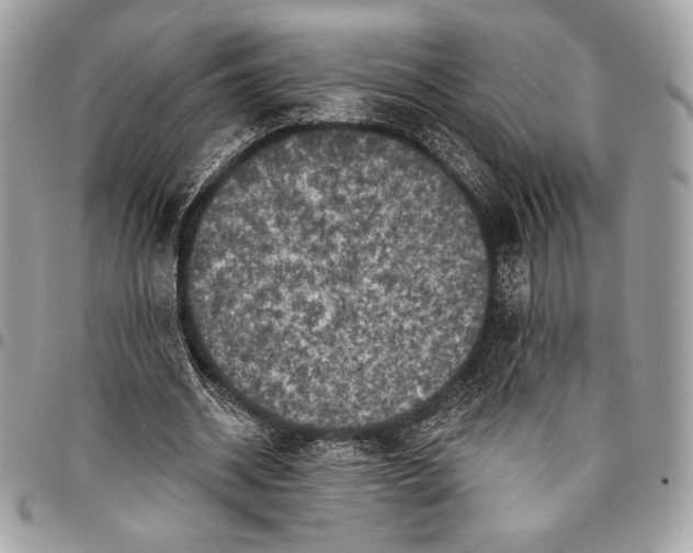 X0000096130534200802081328