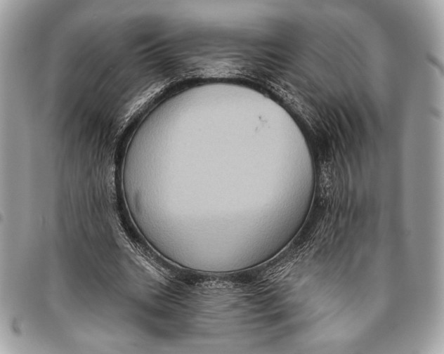 X0000096130535200802081328