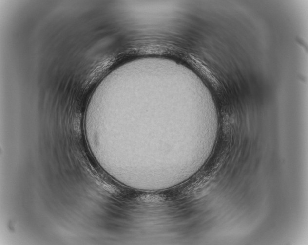 X0000096130537200802081328