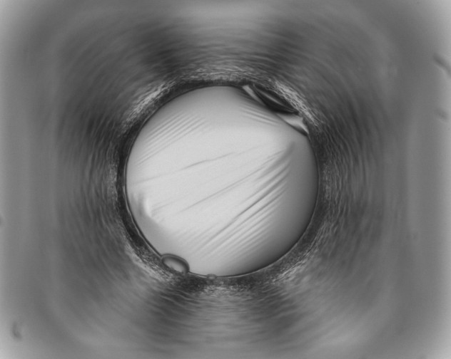X0000096130538200802081328