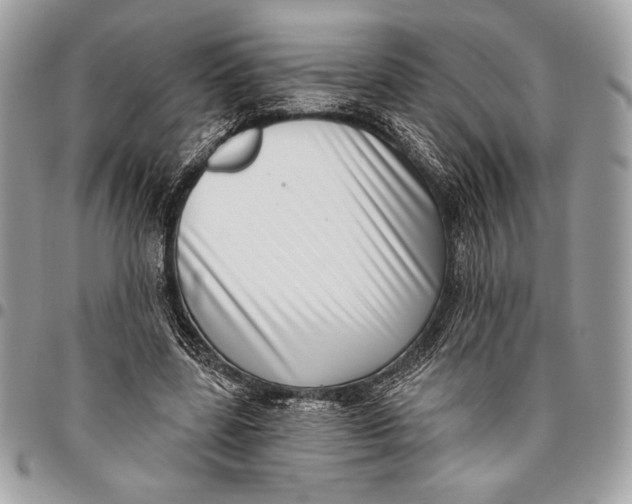 X0000096130539200802081328