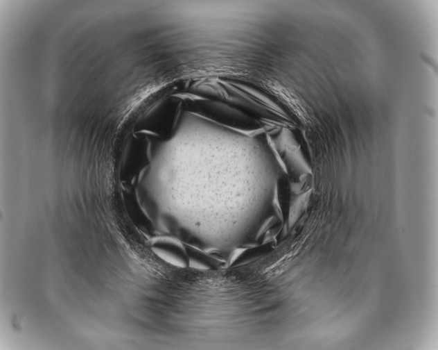 X0000096130540200802081328