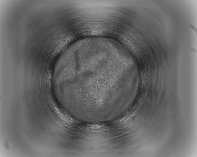 X0000096130542200802081328