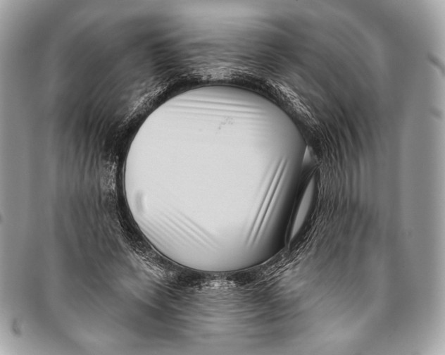 X0000096130543200802081328