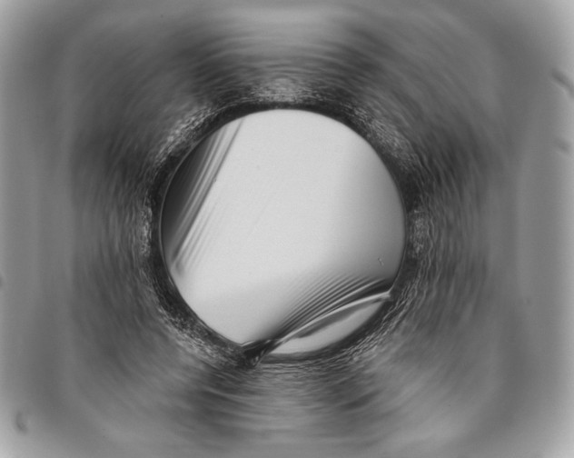 X0000096130544200802081328
