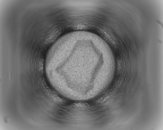 X0000096130545200802081328
