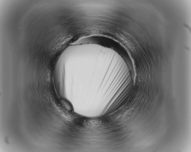 X0000096130546200802081328