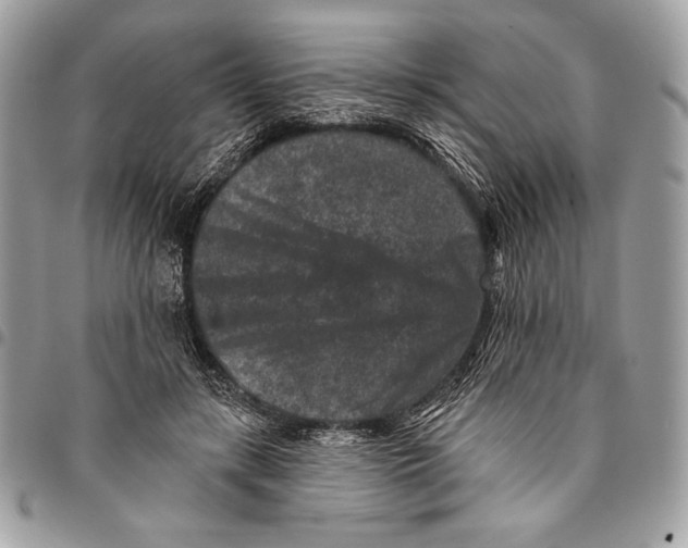 X0000096130547200802081328