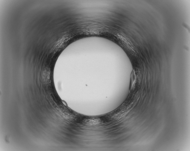 X0000096130548200802081328