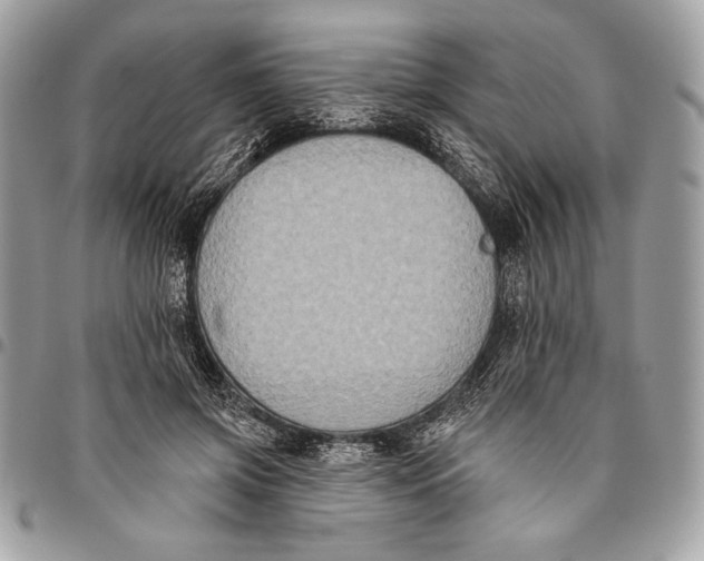 X0000096130549200802081328
